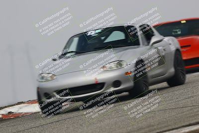 media/Nov-21-2025-Audi Club (Fri) [[8110d52e1e]]/Open Track Photos/3 Grapevine/